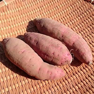 �ȤϤ뤫 ML (1��100��500g) 18kg ȯ������8���3��