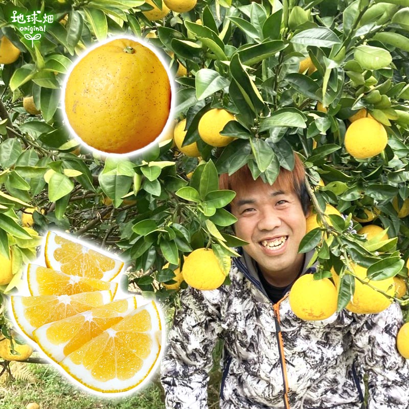 ĤβմʤФ󤫤 4kg ȯ45