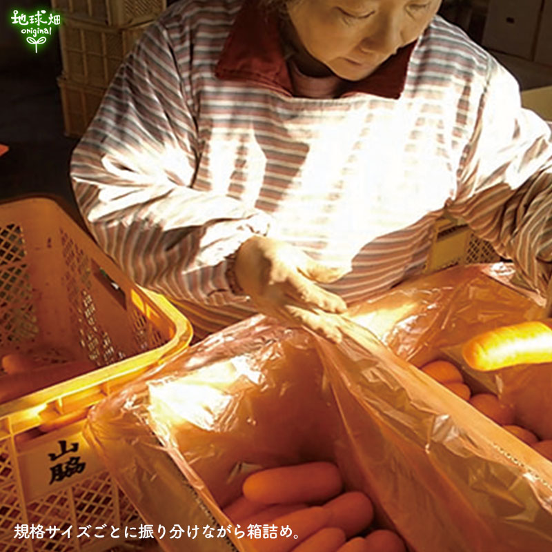䤢꤬Ȥޤ Ƥͭͻ ML 20kg ڻľ̵ ϰ ľ