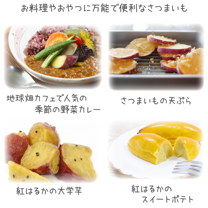 ������ �ȤϤ뤫 18kg ȯ������9���2��