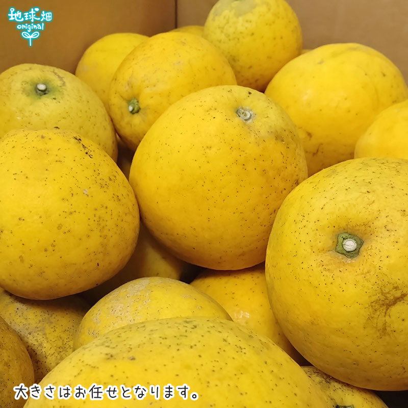 ���Ĥ���β����մ��ʤ�����Ф󤫤�� 10kg ȯ������4���5����