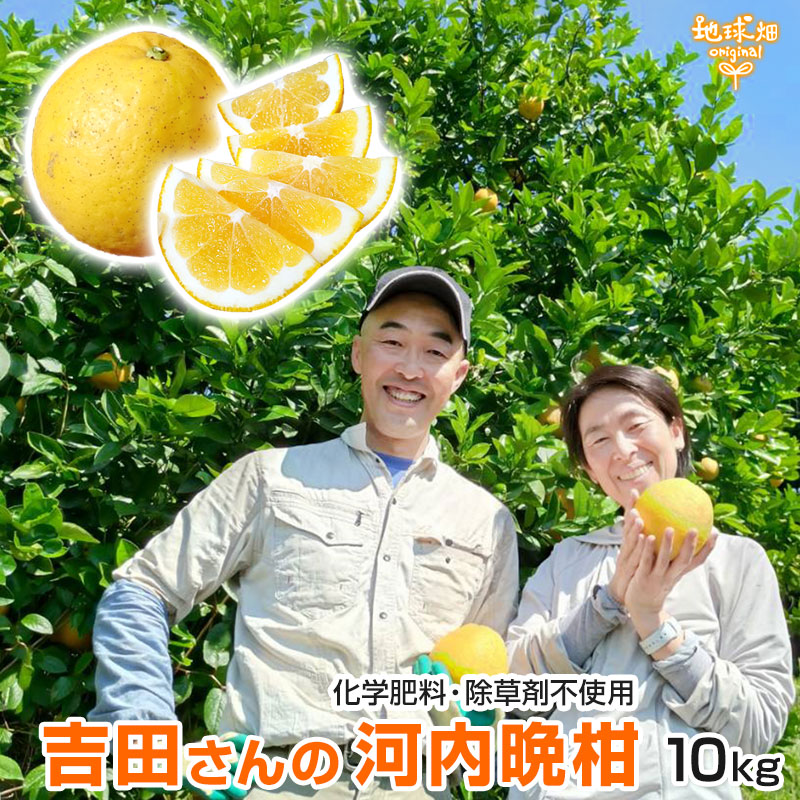 ���Ĥ���β����մ��ʤ�����Ф󤫤�� 10kg ȯ������4���5����