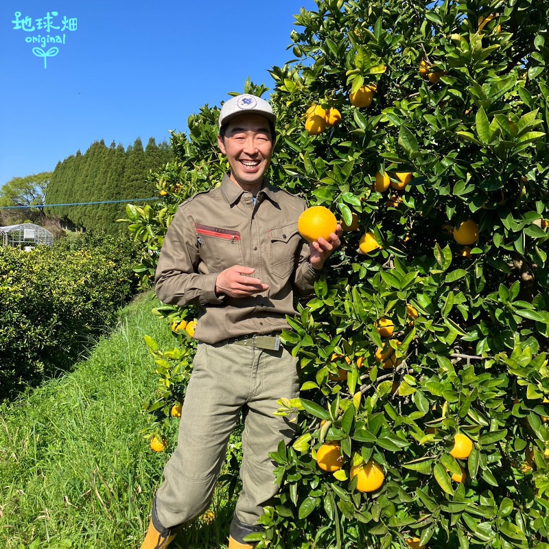 ���Ĥ���β����մ��ʤ�����Ф󤫤�� 10kg ȯ������4���5����