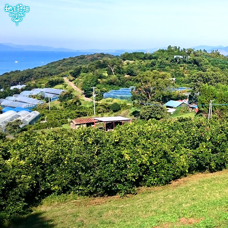 ���Ĥ���β����մ��ʤ�����Ф󤫤�� 10kg ȯ������4���5����