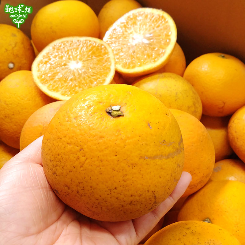 Ȭ��ʤϤä����� 4kg ȯ������3���ܡ����