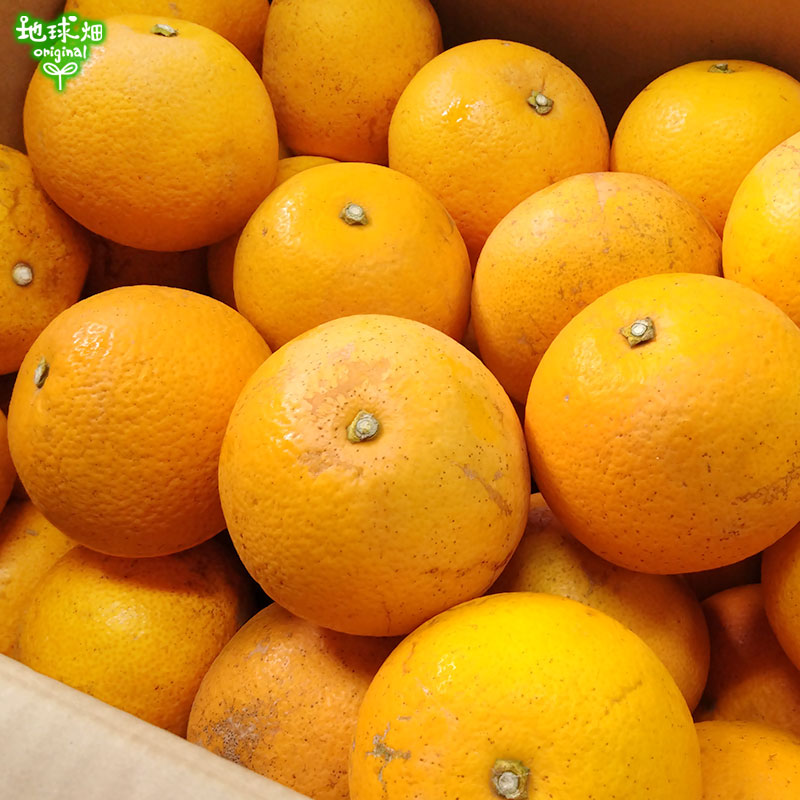 Ȭ��ʤϤä����� 4kg ȯ������3���ܡ����