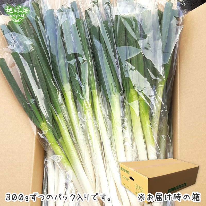 ���ͤ�(��ͥ�) 300g(2��4��)��25p ȯ������12���5�����