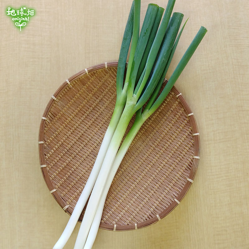 ���ͤ�(��ͥ�) 300g(2��4��)��25p ȯ������12���5�����