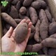  S (150100g) 2kg ȯ910