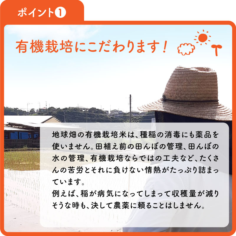 12/18ȯ�� ͭ�������(����) 1kg ���� �������