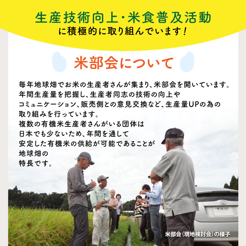 5/21ȯ�� ͭ�������(����) 6kg ���� �������