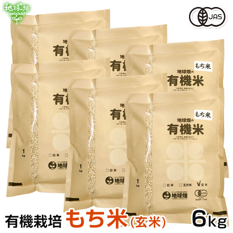 5/21ȯ�� ͭ�������(����) 6kg ���� �������