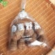���Ȥ��� 500g (1��20g��200g) Τ�� ȯ������8��ܡ�2�� ��¢��