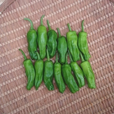 �����Ȥ� 100g ��¢�� ȯ������6��8��