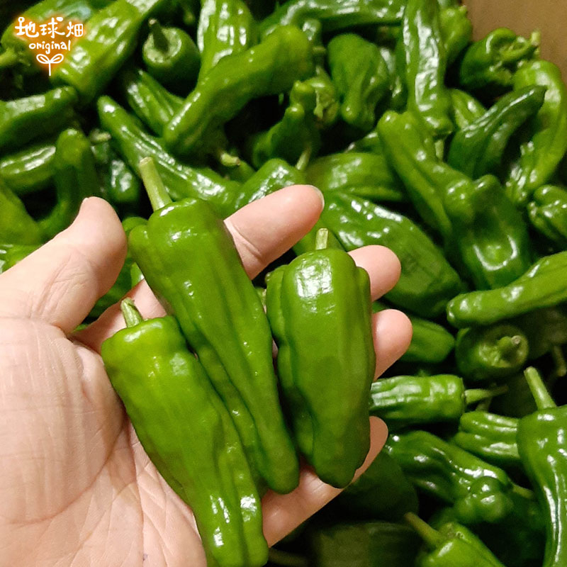 �����Ȥ� 100g ��¢�� ȯ������6��8��