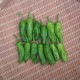 Ȥ 1kg ¢ ȯ68