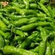 Ȥ 1kg ¢ ȯ68