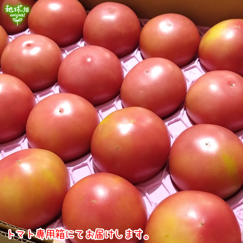 �ȥޥ� ML 20��24�� ��4kg ��¢�� ȯ������6���7��