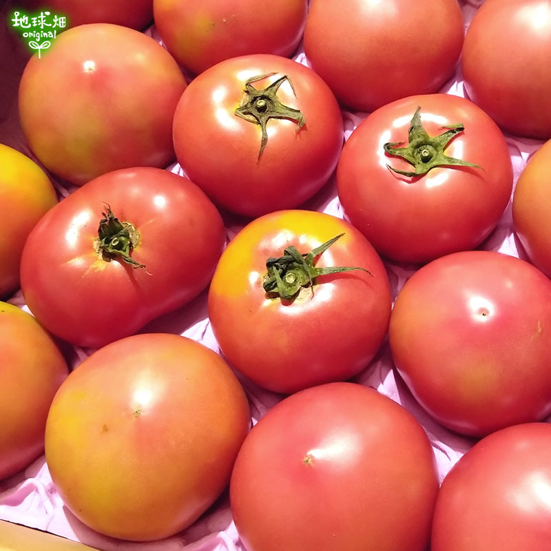 �ȥޥ� ML 20��24�� ��4kg ��¢�� ȯ������6���7��