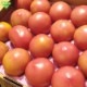 �ȥޥ� ML 20��24�� ��4kg ��¢�� ȯ������6���7��