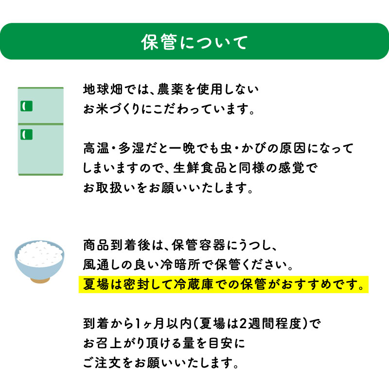 4/23ȯ�� ͭ�������(����) 20kg ���� �������