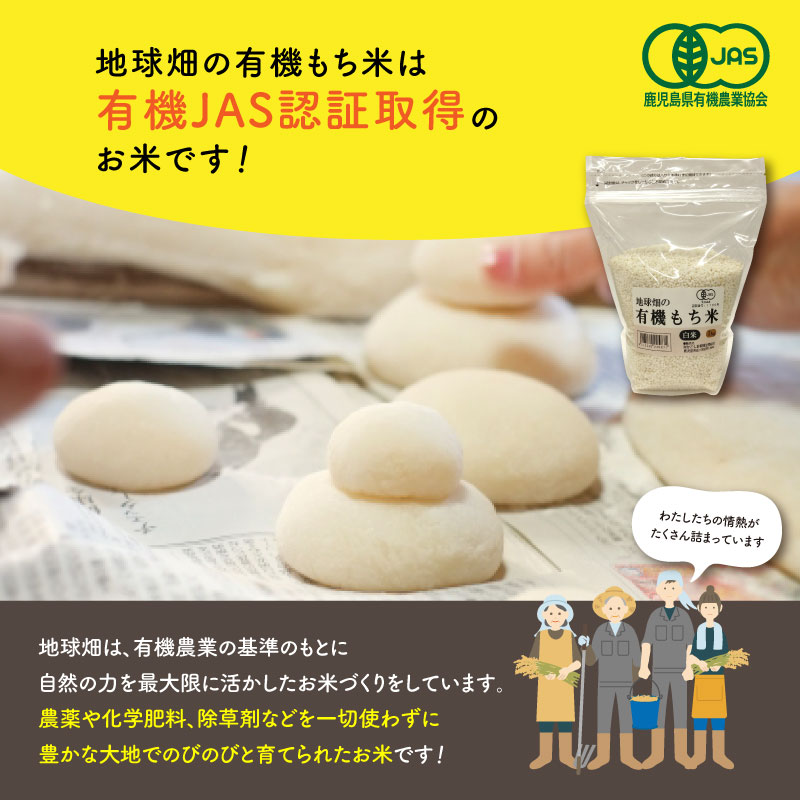 4/23ȯ�� ͭ�������(����) 20kg ���� �������