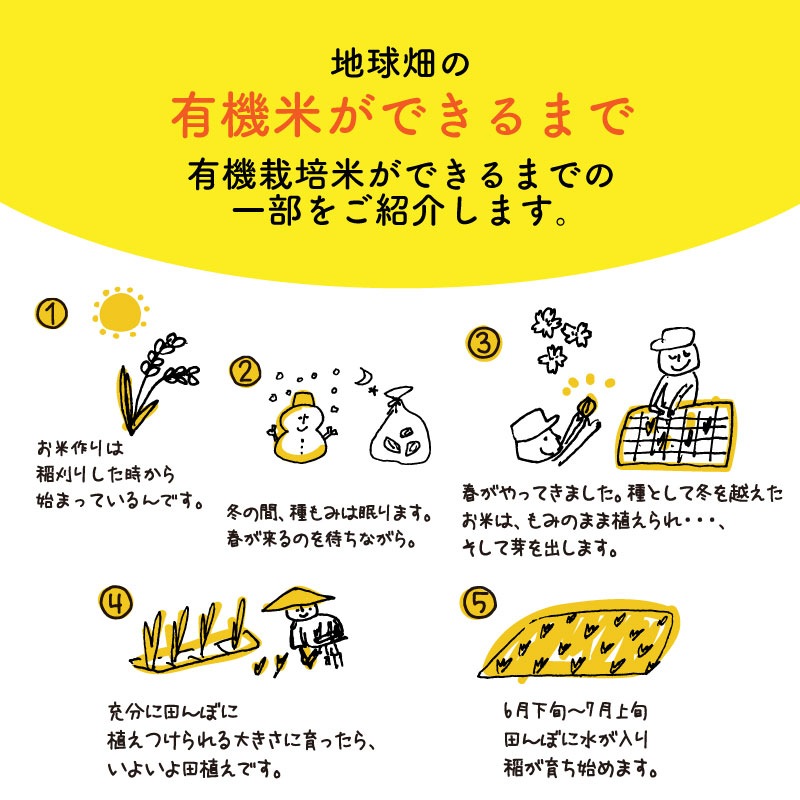 4/23ȯ�� ͭ�������(����) 20kg ���� �������