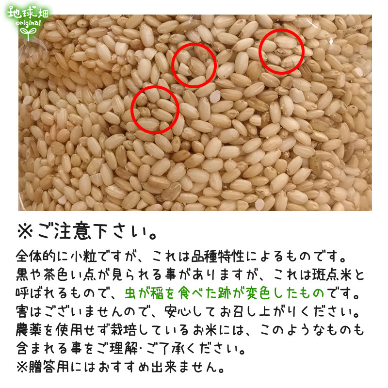 4/23ȯ�� ͭ�������(����) 20kg ���� �������