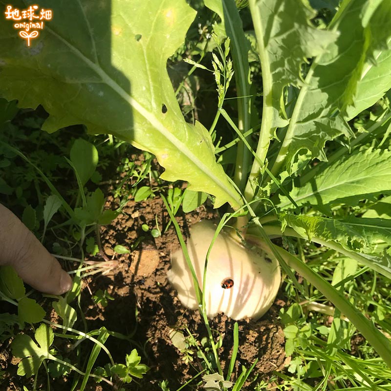 ���� 500g (2��5������) ȯ������11���