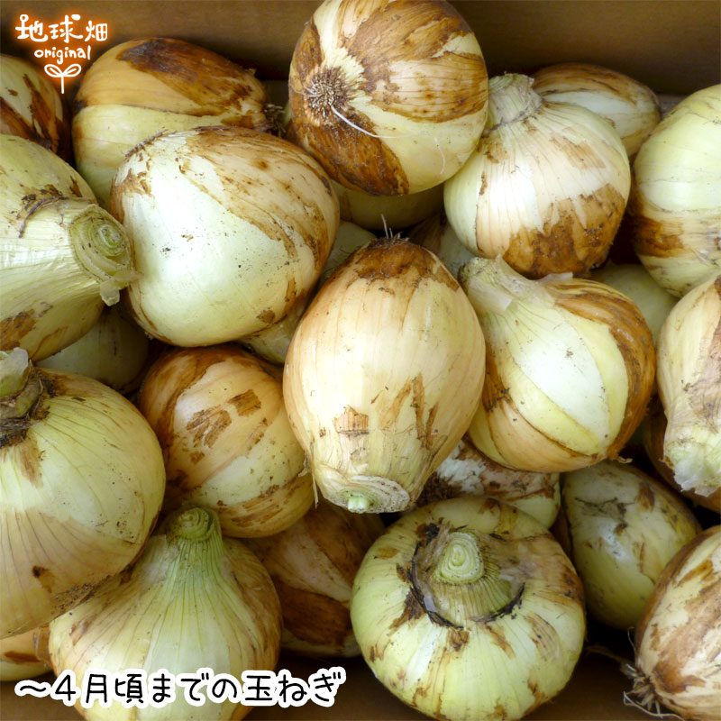 �����ޤͤ� 4kg (1��100��400g) �̤ͤ� ��Ǭ ȯ������4��6��