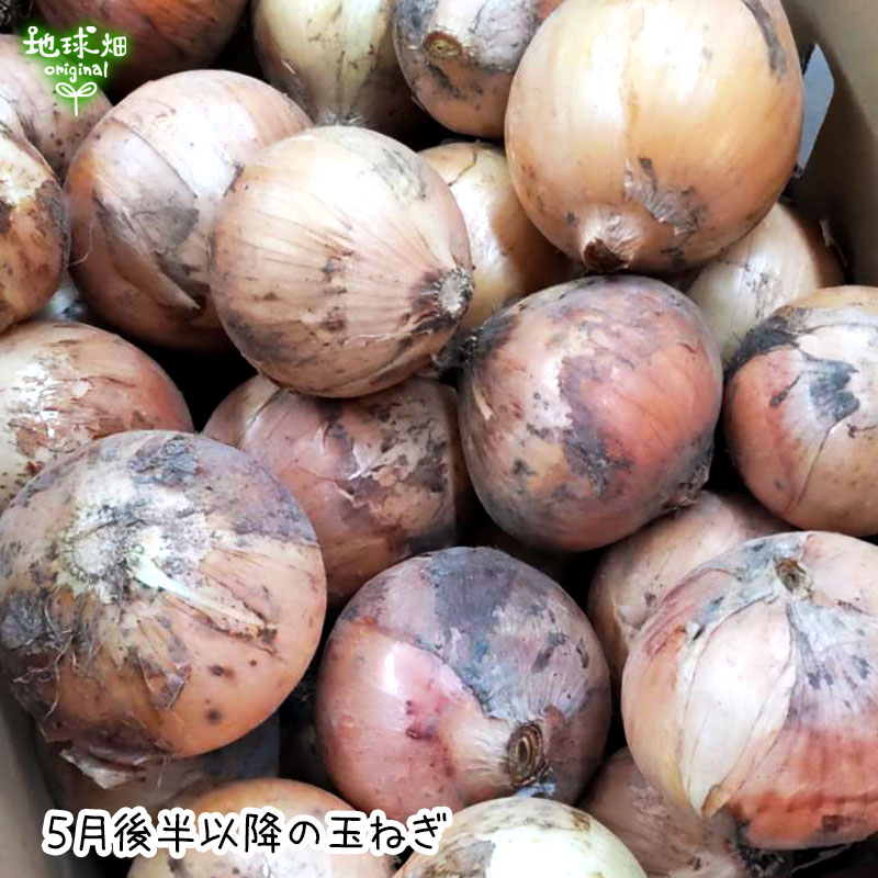 �����ޤͤ� 4kg (1��100��400g) �̤ͤ� ��Ǭ ȯ������4��6��