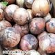 �����ޤͤ� 4kg (1��100��400g) �̤ͤ� ��Ǭ ȯ������4��6��