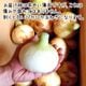 �����ޤͤ� 4kg (1��100��400g) �̤ͤ� ��Ǭ ȯ������4��6��