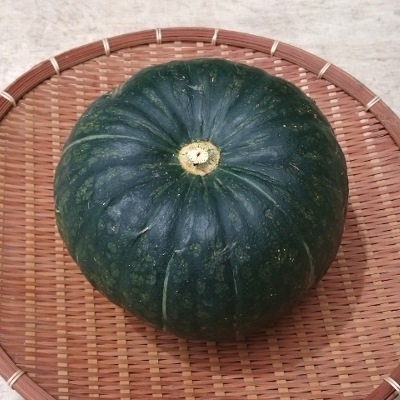 � ���ܤ��� 1��(1.5��2kg) �����ʼ� ȯ������6����ܡ�7�11��ܡ�12��