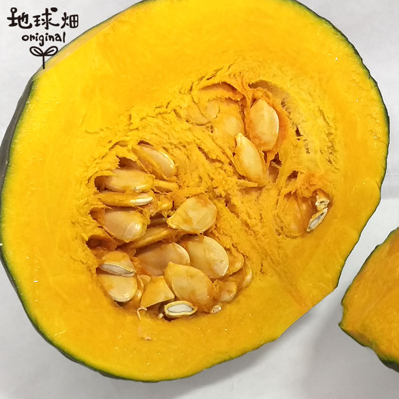 � ���ܤ��� 1��(1.5��2kg) �����ʼ� ȯ������6����ܡ�7�11��ܡ�12��