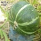� ���ܤ��� 1��(1.5��2kg) �����ʼ� ȯ������6����ܡ�7�11��ܡ�12��