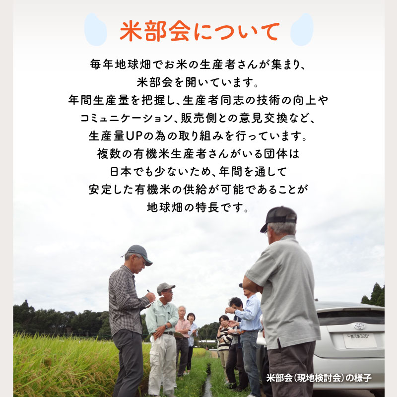 1/22ȯ�� ͭ������ 5kg ����7ǯ�� ������ ���� �ܺ� �������� �ҥΥҥ��� ���ޤ���ε��� 2025ǯ�� ̤������