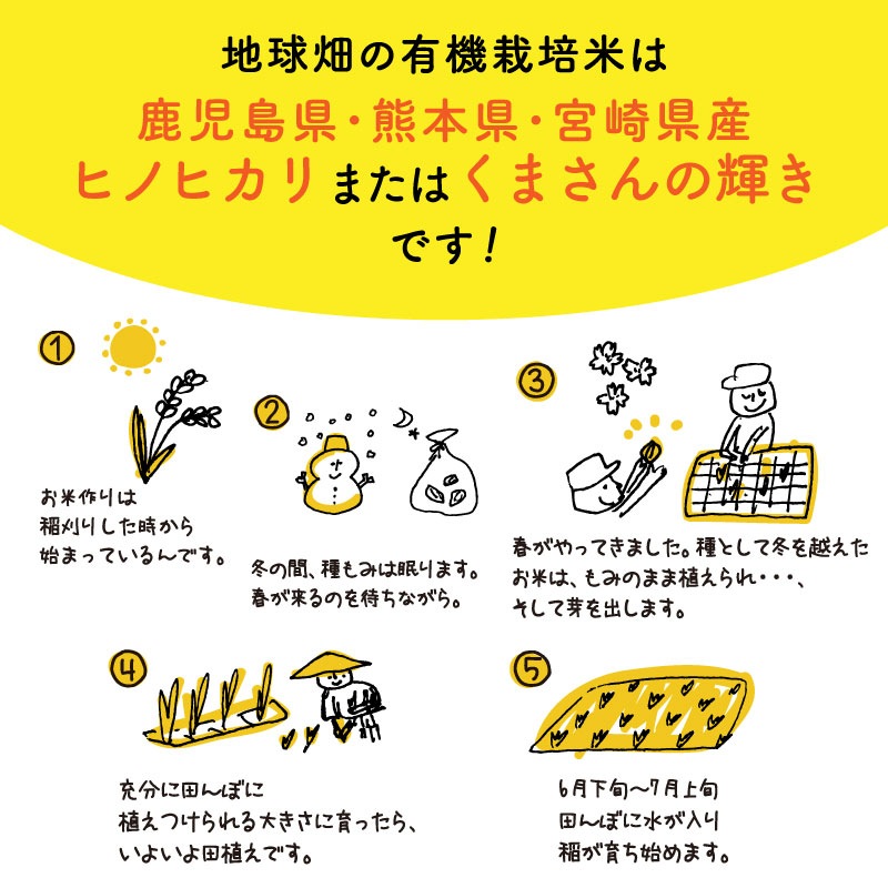 1/22ȯ�� ͭ������ 5kg ����7ǯ�� ������ ���� �ܺ� �������� �ҥΥҥ��� ���ޤ���ε��� 2025ǯ�� ̤������