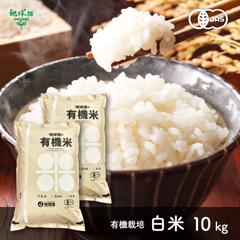 ͽ�󾵤��� 10��ȯ�� ͭ������ 10kg ���� ����8ǯ�� ������ ���� �ܺ� �������� �ҥΥҥ��� �ˤ��Τ���᤭ ���ޤ���ε��� 2026ǯ�� ̤������