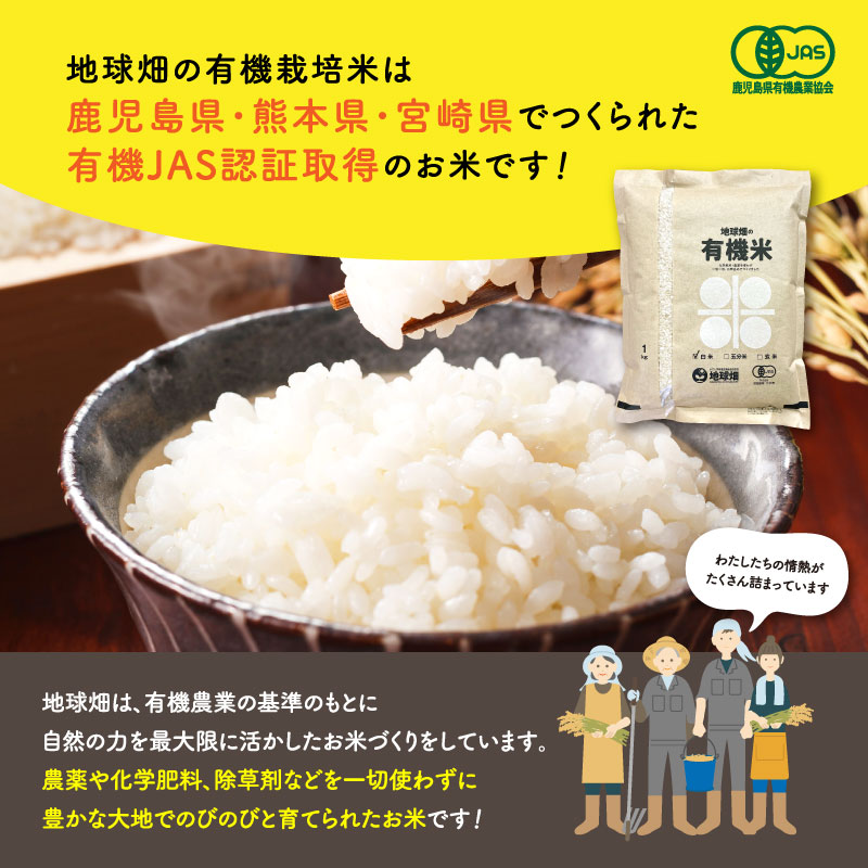 ͽ�󾵤��� 10��ȯ�� ͭ������ 10kg ���� ����8ǯ�� ������ ���� �ܺ� �������� �ҥΥҥ��� �ˤ��Τ���᤭ ���ޤ���ε��� 2026ǯ�� ̤������