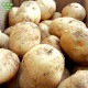 ���㤬���� 4kg��1��50��300g) ȯ������12���2�3��6��