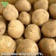 ���㤬���� 4kg��1��50��300g) ȯ������12���2�3��6��
