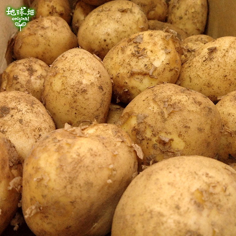 ���㤬���� 9kg��1��50��300g) ȯ������12���2�3��6��