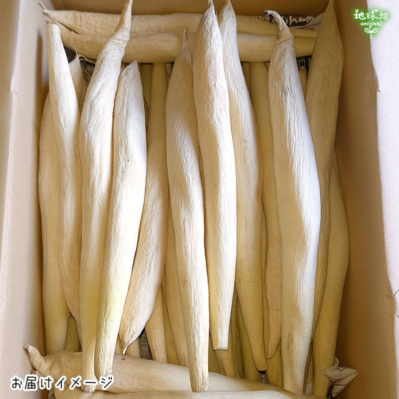 �ڴ��䤢�꤬�Ȥ��������ޤ����۵ܺ긩�� �ݴ����纬 ��4kg(20��25������) ��ʪ�� ���̸��� ȯ������1��ܡ�2�����