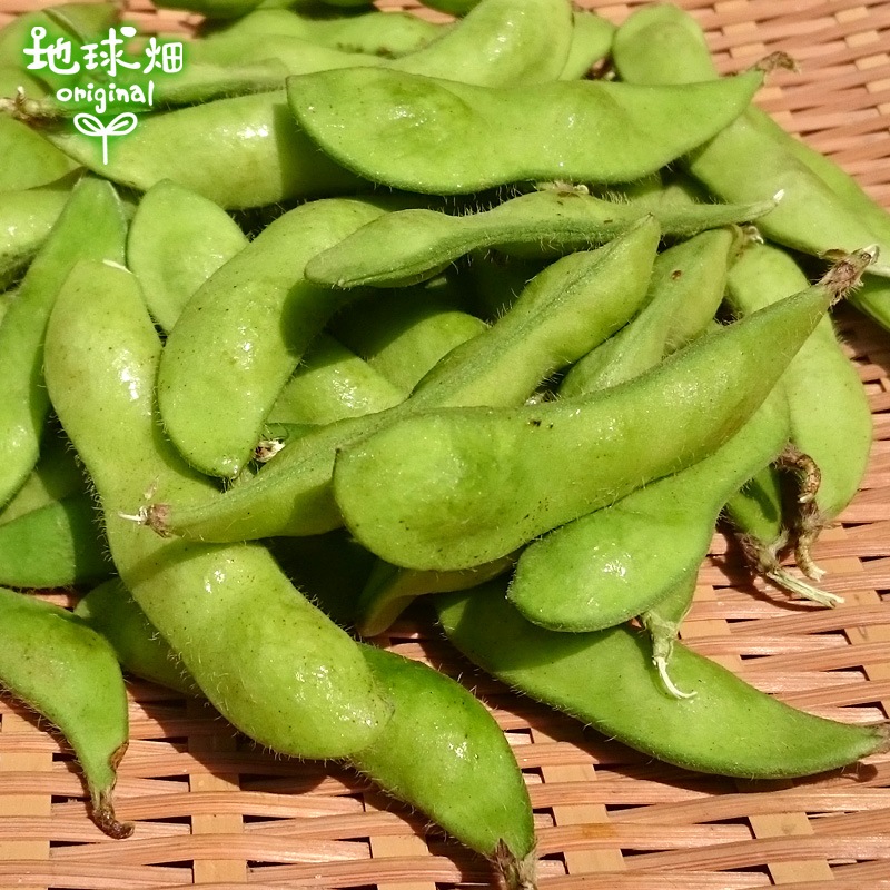 枝豆　　10キロ　9月30日終了 枝豆 150g×10p 冷蔵便 発送期間6月～7月、10月中旬 | パック売り