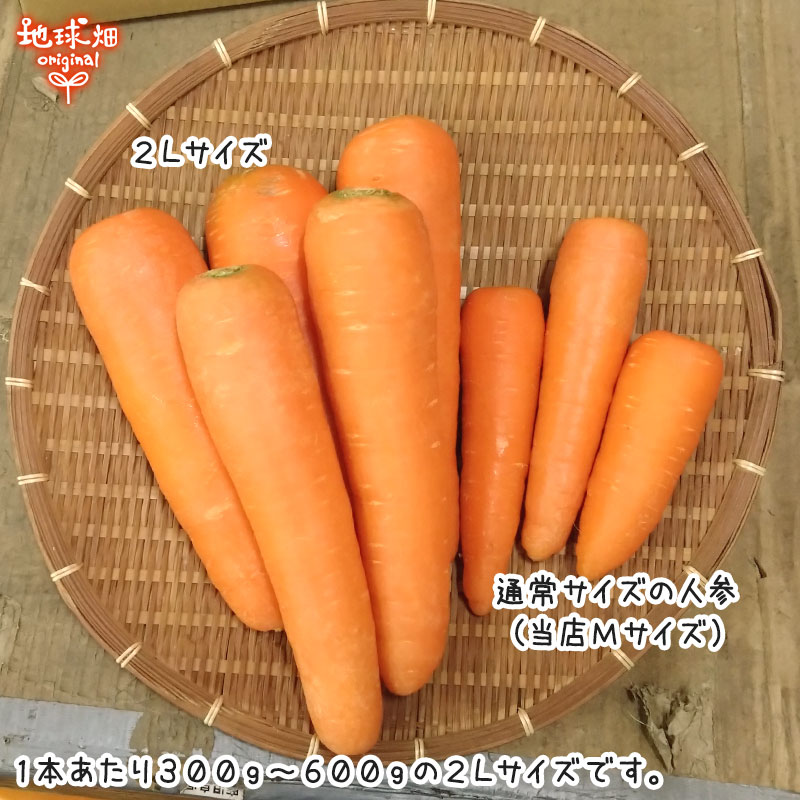 �ͻ� 2L 9kg (1��300g��600g) ��¢�� ȯ������2���6��