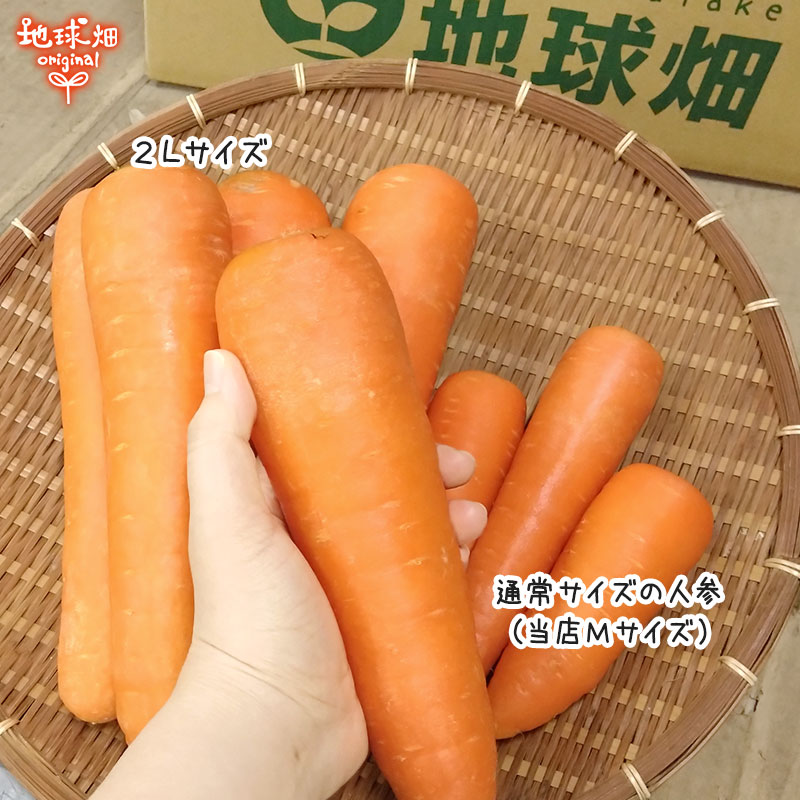 �ͻ� 2L 9kg (1��300g��600g) ��¢�� ȯ������2���6��