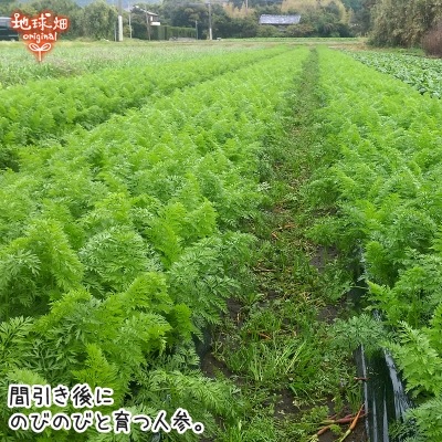 �ͻ� 2kg (1��70��299��) ȯ������12���6��