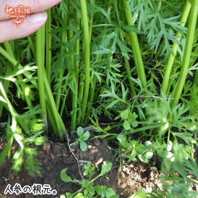 �ͻ� 2kg (1��70��299��) ȯ������12���6��