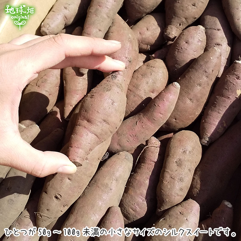 (�Ĥ�鷺��) ���륯�������� S (1��100g̤��) 4kg ȯ������10���12��